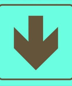 Photoluminescent Sign - Red Arrow Down - 190 x 190mm - SIGNPRA(D)190