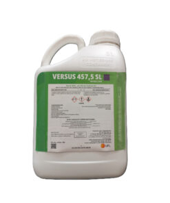 Versus 5L