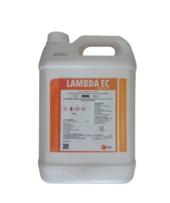 Lambda