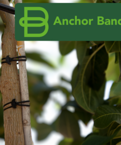 Bandex Anchor Band 70X4Mm - 1Kg