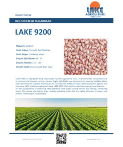 Lake Sugar Beans 9200 Disease Free Certified