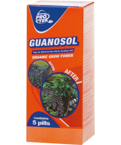 Guanosol 5 Pill