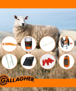 500M Sheep Strip Grazing (S100 T10973) Bundle Kit