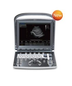 Head Immobilizer DTB-1